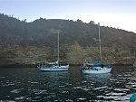 Pelican Harbor. Check out the Cal 28 there on the left, locally well-known boat, "Caballo Blanco," with a flawless addition to its hull and waterline...