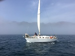 Gotta watch out for this every once in a while, especially in summer. A fog bank moved in quickly one morning off of Fry's harbor. Platt's anchorage...