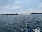 Forney's Cove looking west. Santa Rosa island can be seen in the distance, and even San Miguel island is barely visible on the horizon behind the...