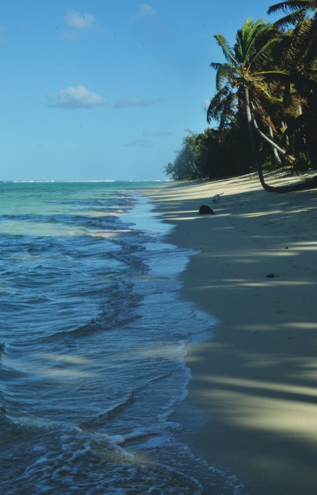 Rarotonga