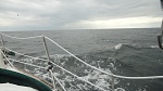 This is me entering the Gulf Of Mexico, motoring since I had no clue how to sail a sailboat.