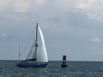 Cape Charles Cup Race 2019