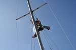 torey up the mast