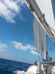 Hanging over the lee rail on a starboard tack.