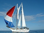 Spinnaker9