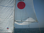 Spinnaker 2