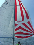 Spinnaker