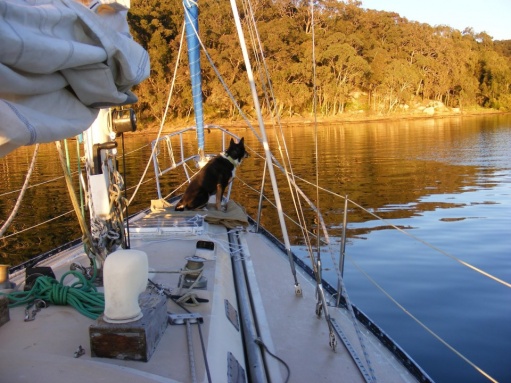 Lake Macquarie