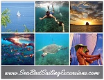 www.SeaBirdSailingExcursions.com 
This turnkey business is FOR SALE!...