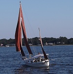 22s. 2011, Tupelo on Perdido Bay. The border between Alabama and Florida on the Gulf Coast. Note the sculling oar. It works nicely and comfortably in...