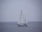 Dove II under full sail