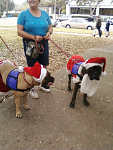 Santa and the Mrs