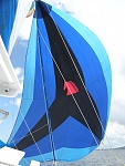 up spinnaker and away!