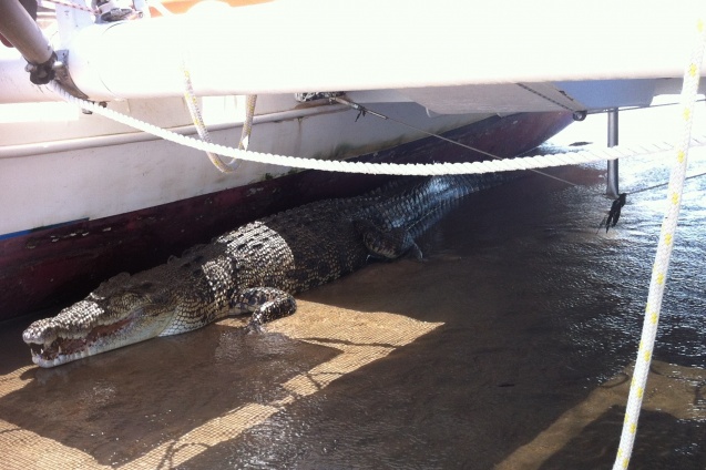 17 foot after walking 1.5 Klm to get to the boat across the low tide flats at gods creek.