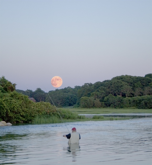 Fly fishing in a flooding tide