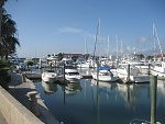 Camachee Island Yacht Club and Marina