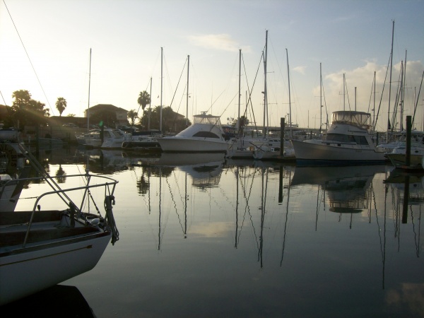 Morning in the Harbor