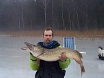 Esox Lucius/Northern pike @ 11.700 kg/25.75 lbs