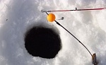 The setup for pike ice fishing: 225 mm/dia hole. The fishing line is set over the spring and it will pop up as the pike takes the bait and moves away