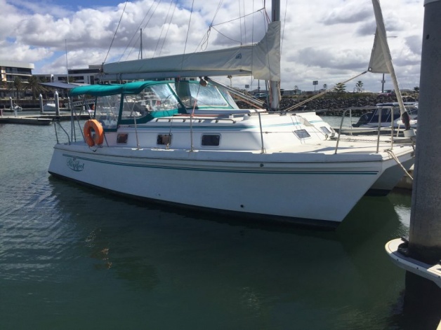 Love at first sight. Purrfect in Wyndham Harbour, Victoria.