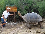 Galapagos