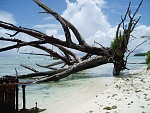 Inside the reef at Palmyra Atoll